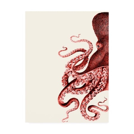 Fab Funky 'Octopus Coral And Cream A' Canvas Art,14x19